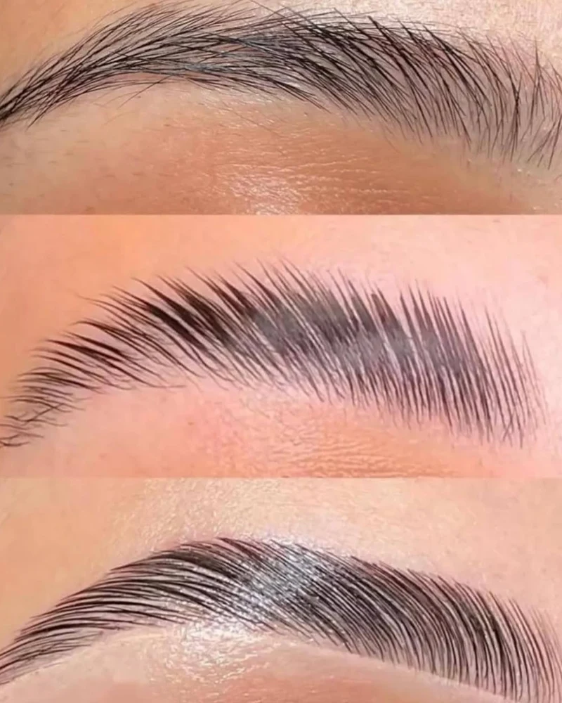 Brow Lamination Before and After - 3 Stages